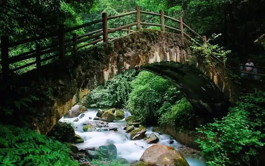 10月旅游景点推荐: / 大飞水原始森林 / 大邑西岭镇,不仅只看树!