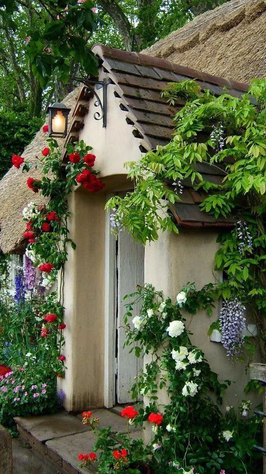 便有悦耳动听的叮铃声 看绿色的藤蔓在墙上铺满 看各色的蔷薇花在院子