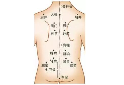 5,揉胃腧,脾腧:消食化滞治疳积 位置:脾腧位于第11胸椎棘突下,左右各