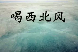 跟小编一起喝喝西北风吧~ 省钱还减肥~ 哈哈哈,开个玩笑~ 其实.