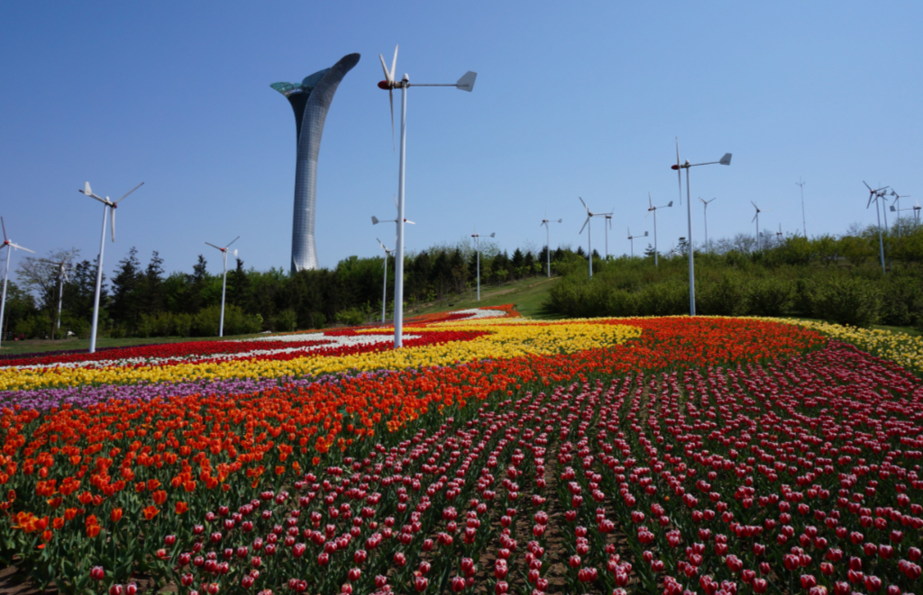 top10:沈阳市植物园