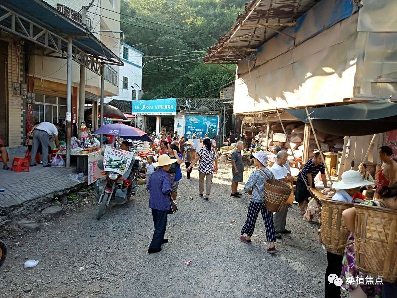 桑植有多少人口_艾可知赴桑植县调研小康帮建和驻村帮扶工作