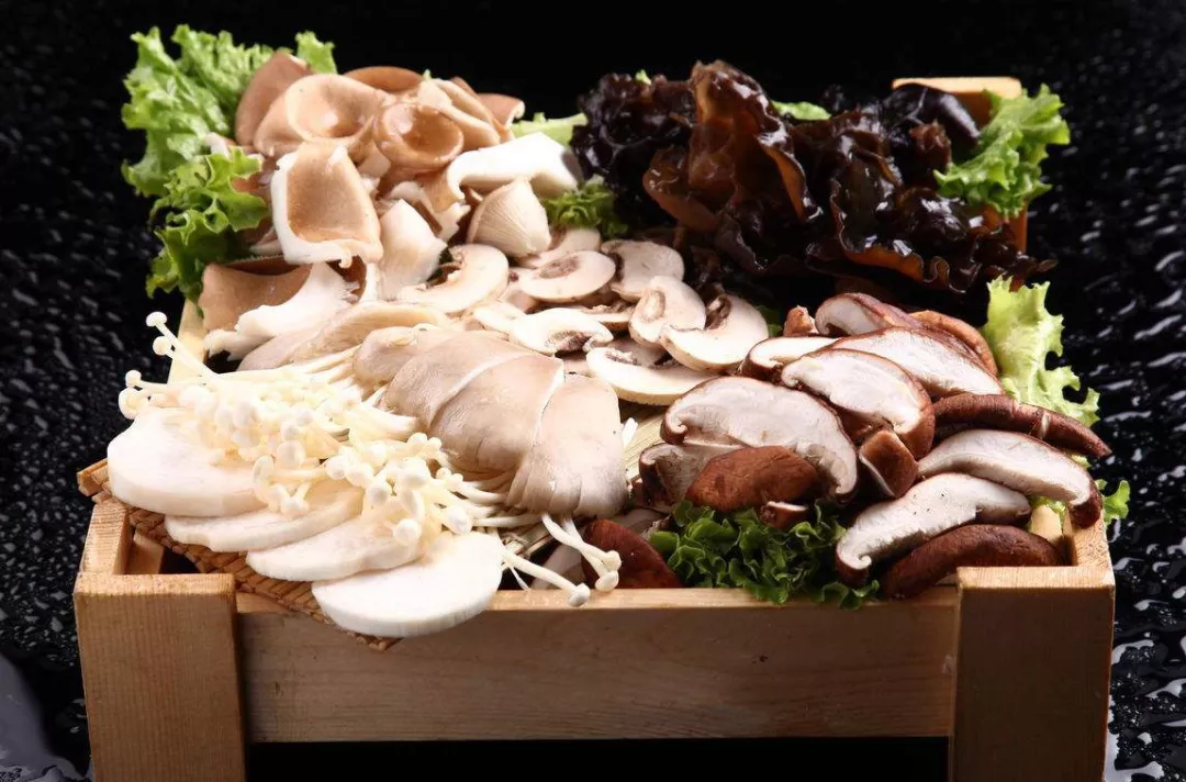 健康丨不是每一个吃蘑菇的人都了解蘑菇,很多人真的对