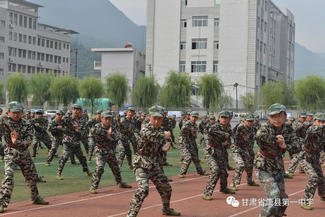 近期,康县一中近700名学生做的这件事,引人拍手叫好