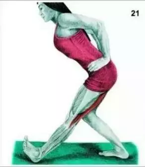 21,单腿前曲可以拉伸:腘绳肌和小腿20,坐立前曲可以拉伸腰大肌和腘绳
