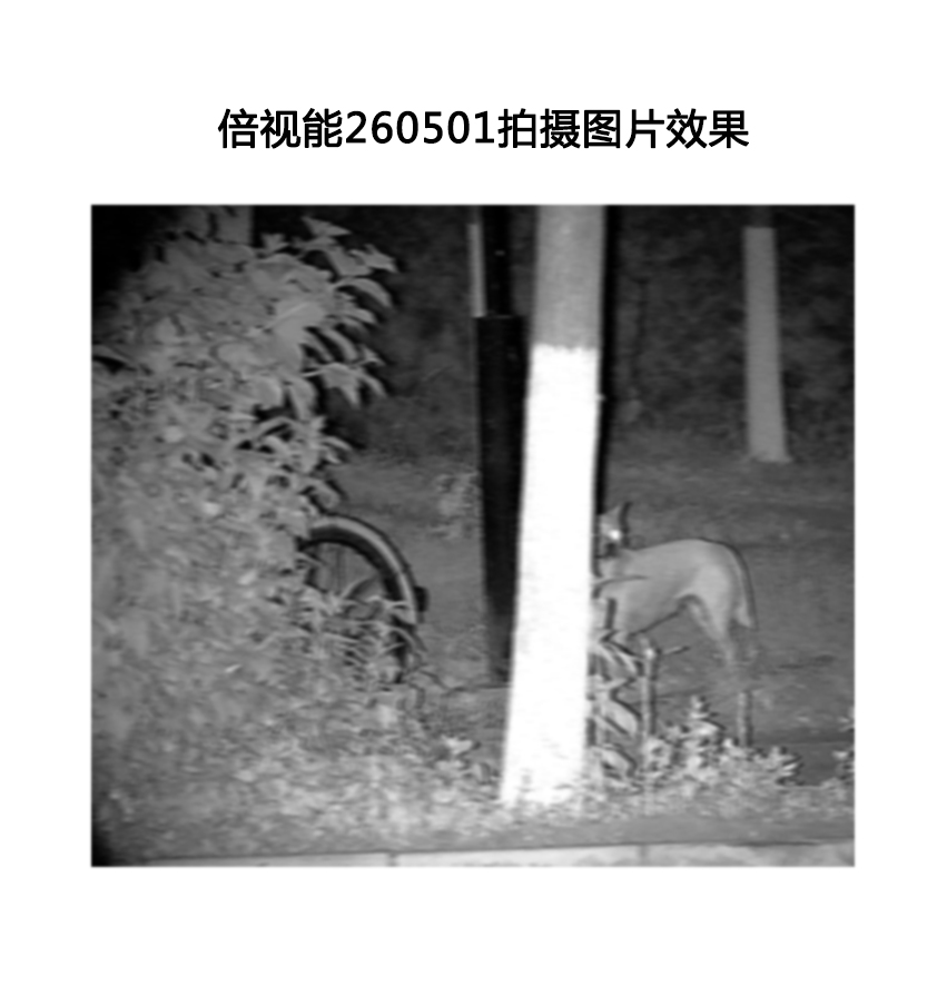 bushnell倍视能260501数码夜视仪详细介绍分享