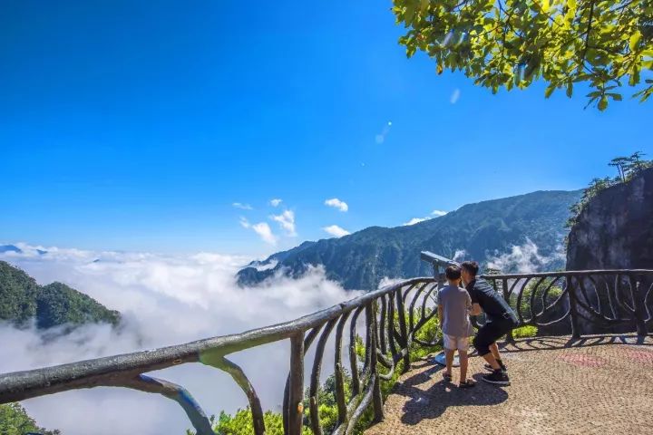 大明山悬空栈道被称为仙境秘道是一点也不夸张,它浮在云中,贴在山体