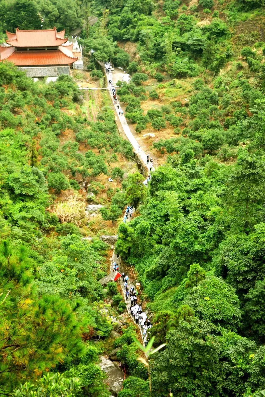 藏在龙港的旅游圣地!空气好,寺庙多!还有观音洞,瀑布