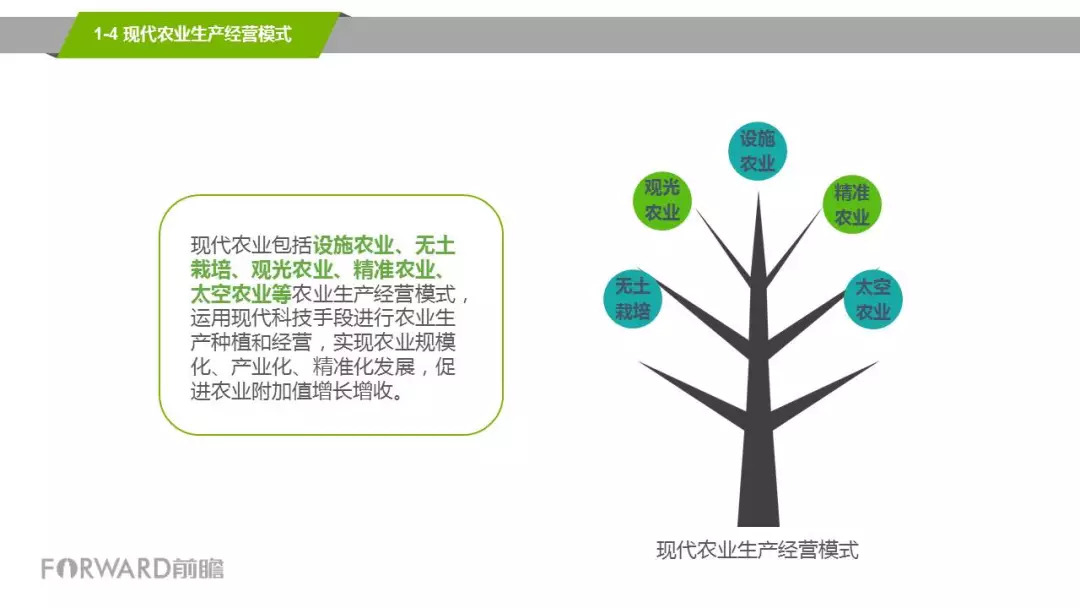 菏泽近10年gdp_菏泽牡丹(3)