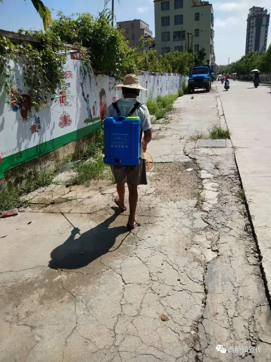 西胪内輋村人口_西胪内輋村女人图片