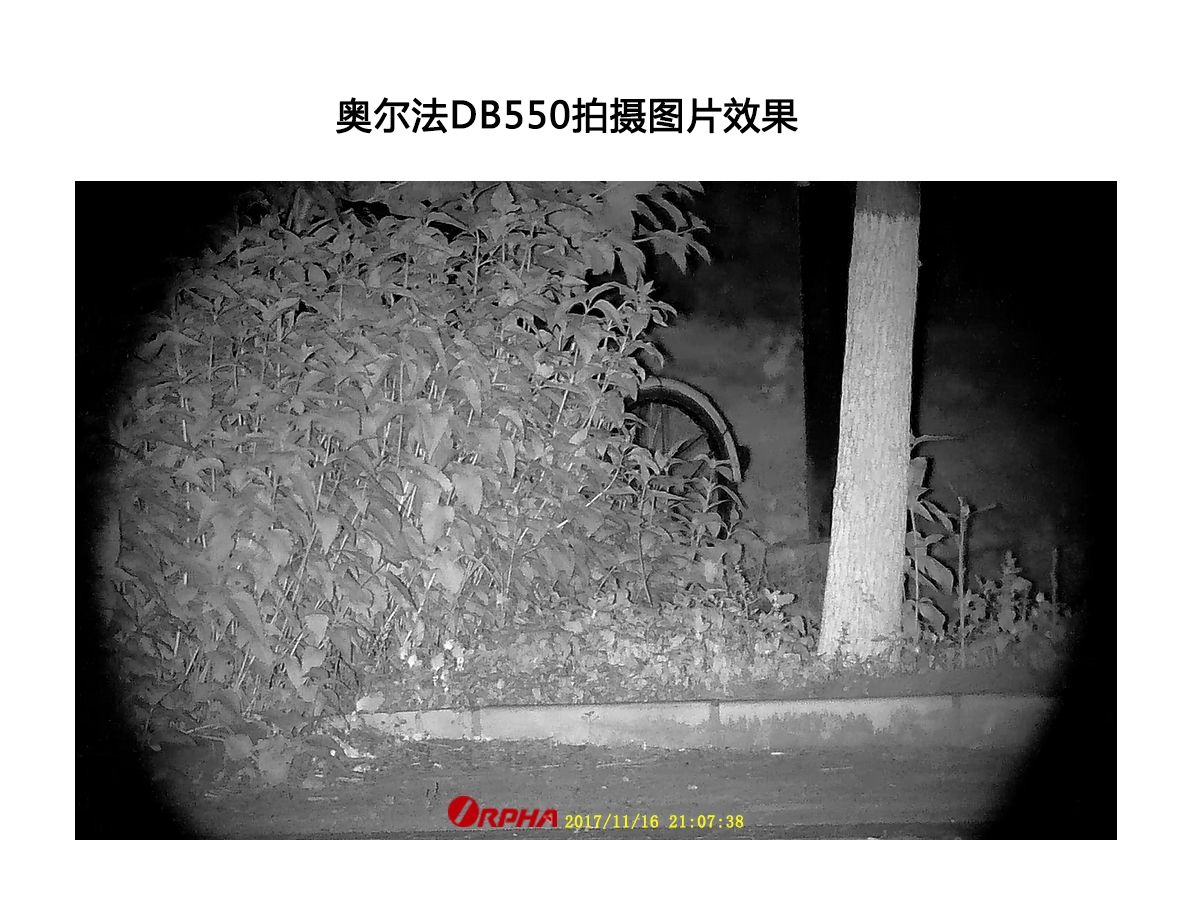 bushnell倍视能260501数码夜视仪详细介绍分享