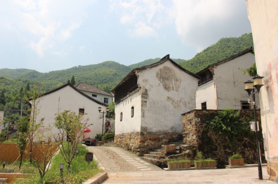 鸬鸟镇山沟沟村仁和街道渔公桥村百丈镇半山村良渚街道新港村塘栖镇