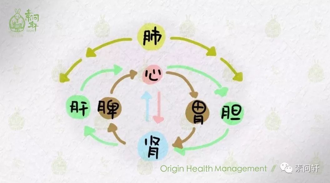 一旦出现这十个症状中两个以上时说明你精血已严重不