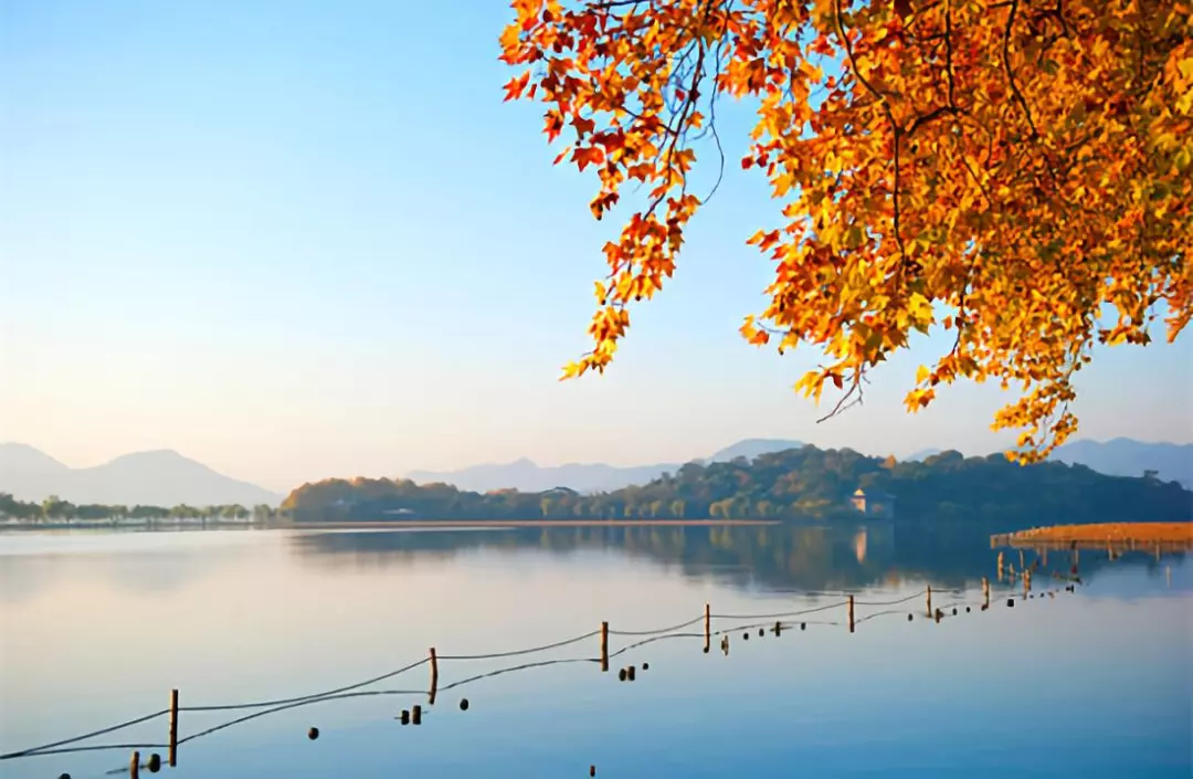 找一个阳光甚好的日子 坐在湖边,听梧桐叶索索响 地址:杭州西湖边断桥