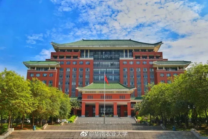 广东这些大学里的特色建筑有你的回忆吗