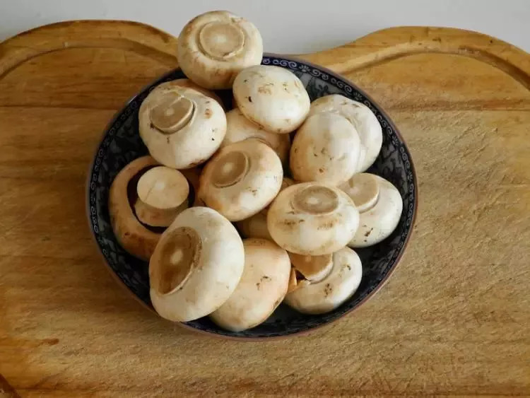 【养生知识】完美素食!秋季吃蘑菇清肠养胃更养生!