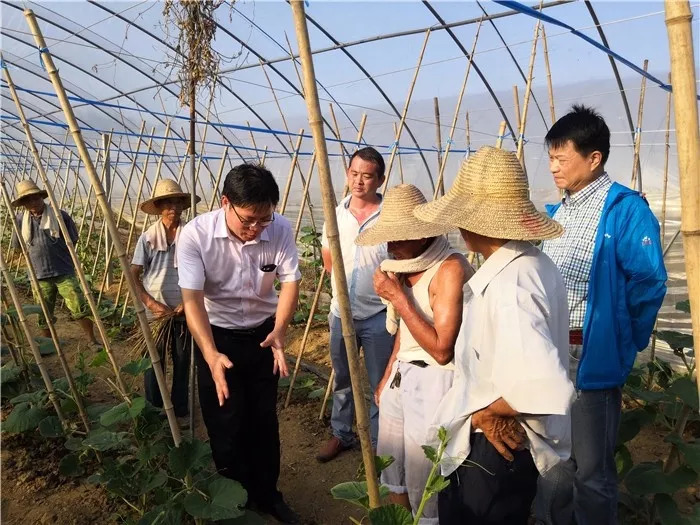 会后,严从生与种植户一起深入柘皋镇东涵合作社种植