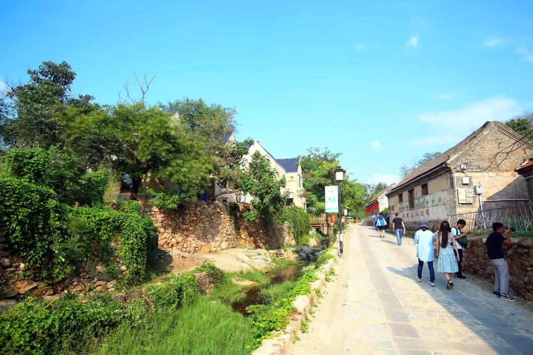 莱州小草沟村竟然走出一条乡村旅游的大路