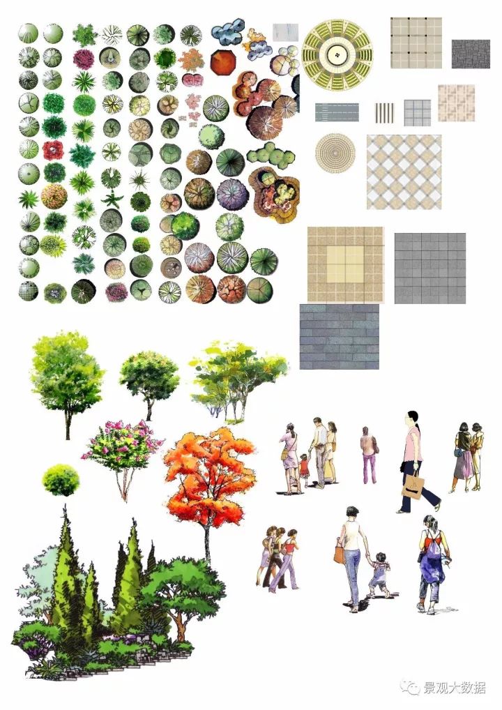 属于设计手绘常用素材库 01  手绘植物素材库 02  组团植物(乔木 灌木