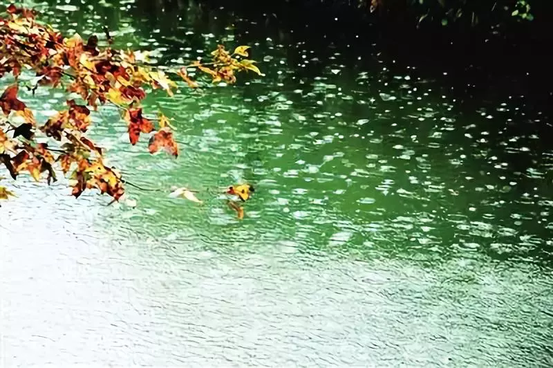 27首秋雨诗词却话巴山夜雨时