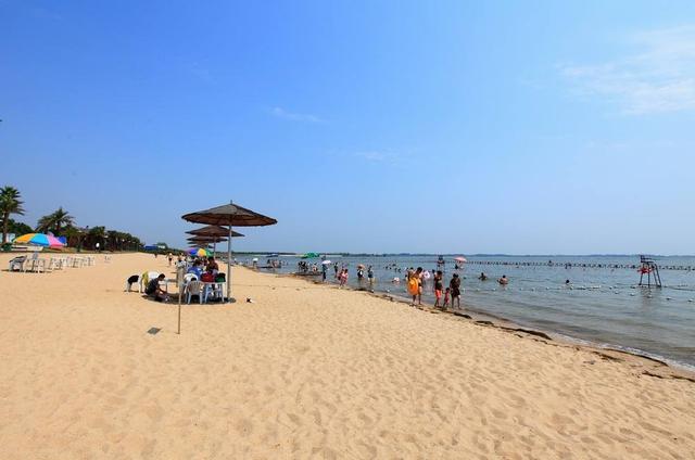 龙湾沙滩浴场 亮点:武汉目前最能体现海浪袭人的沙滩浴场,在梁子湖畔