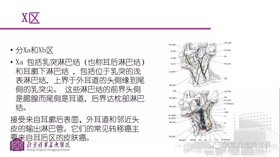 文献与病例学习:颈部淋巴结的分区解剖