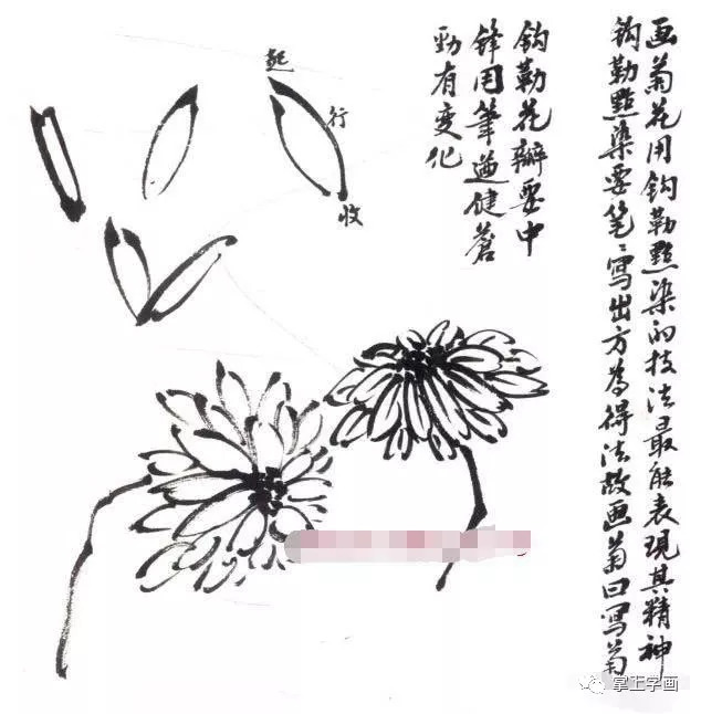 写意墨菊画法,墨菊画花叶技法详解,菊花的各种画法教程!