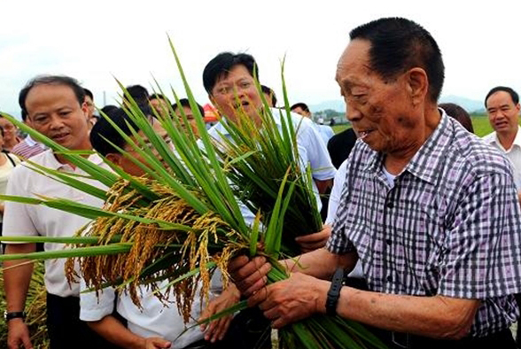 农业人口最少_中国那个地区人口最少(2)