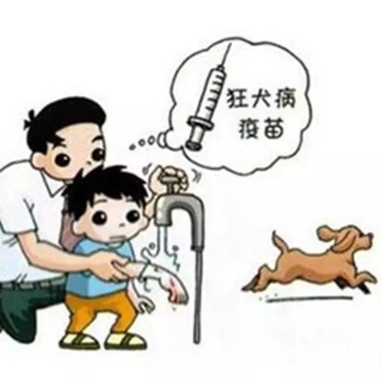 科普:狂犬病知识热点问答