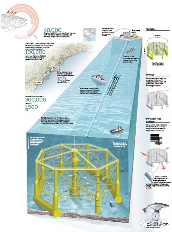 "深蓝1号"运行稳定,中国大西洋鲑鱼养殖潜力将令全球瞩目