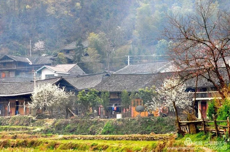 刘树梅,又名刘运宪,字锡章,男,1885年12月生,儆平乡(现沅陵县张家坪上