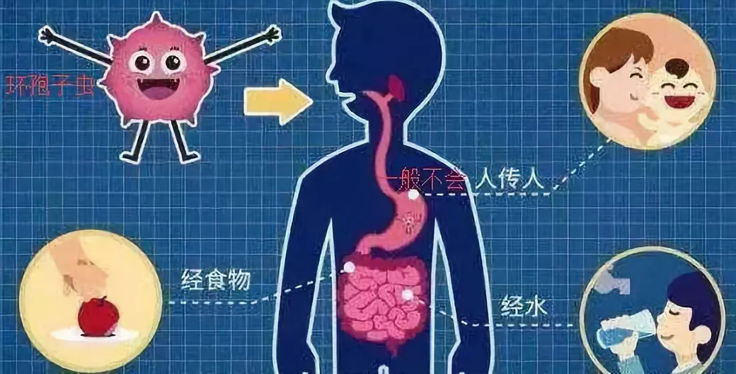 人口卵化机(2)