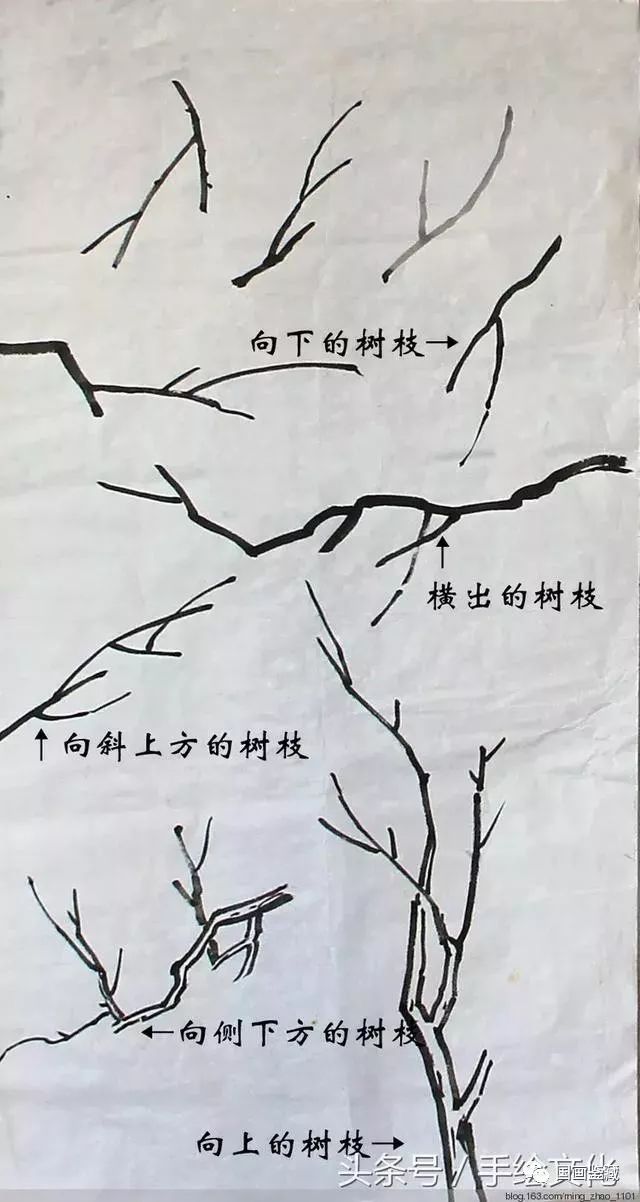 也就是说在画树的时候,树枝有左右横出,也要有前后出枝