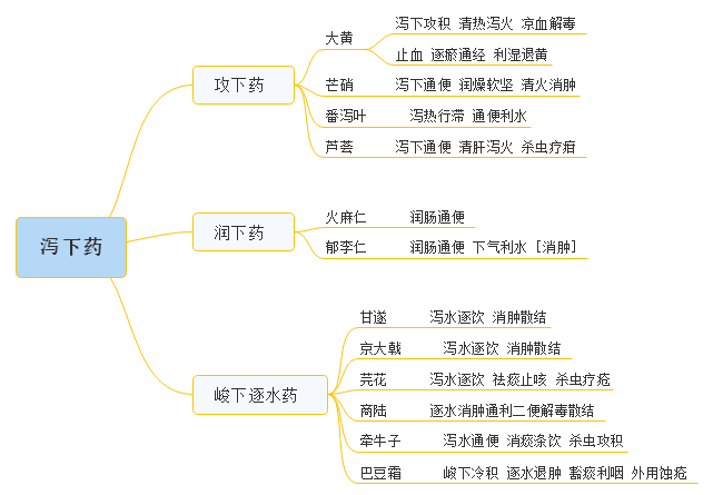 思维导图记忆