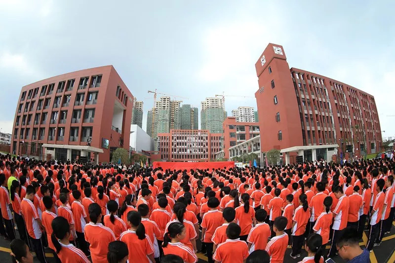 今天,株洲市二中初中部校区,天元区凿石小学揭牌