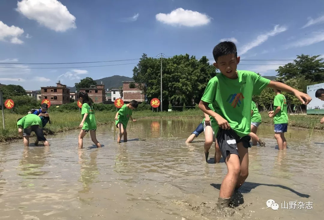 福建厦门站小营员们为完成活动任务,光脚下到泥塘里