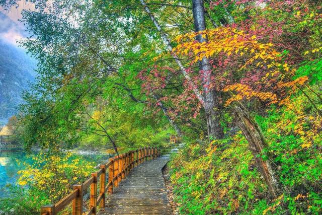 中国最美的秋季在四川，20个最值得去的地方，存起来慢慢欣赏！【开元棋盘官方网站】(图36)
