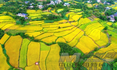 花荄镇人口_花荄镇欧洲花园图片(3)