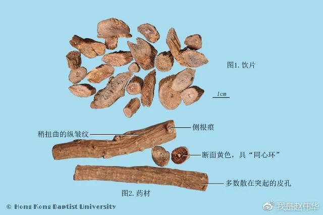 有图有歌诀,中药鉴定就应该这样轻松学!【上】