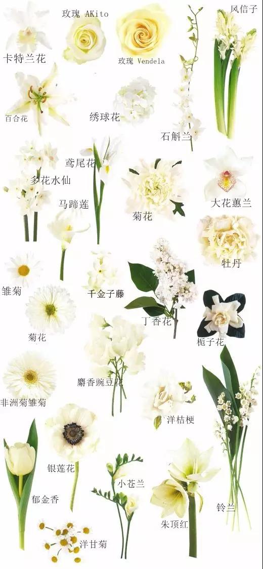 新娘手捧花为什么这么贵手捧花花材大公开