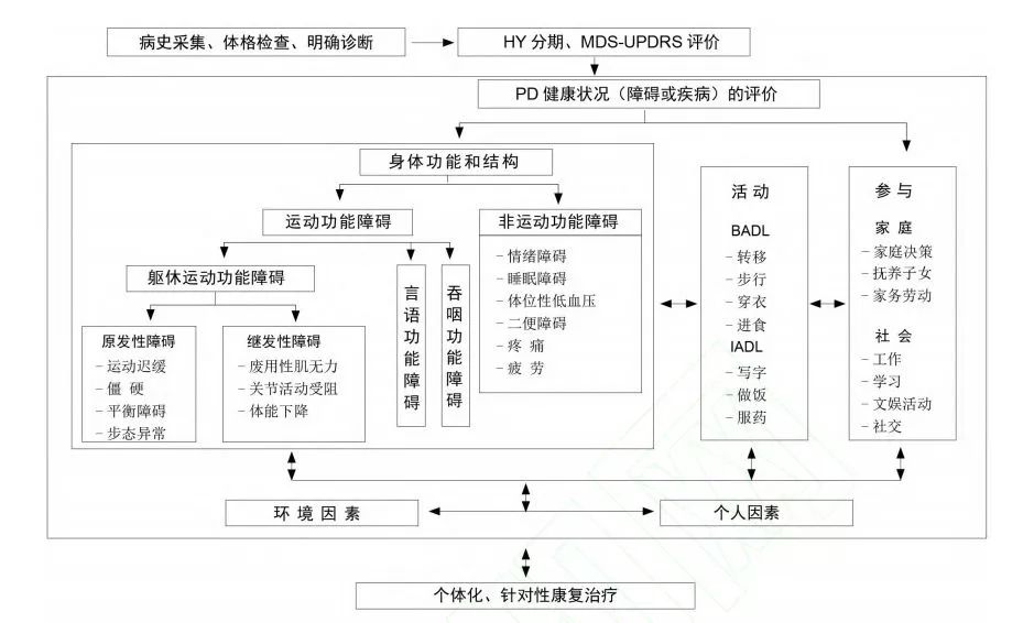 基于icf分类的pd康复流程图