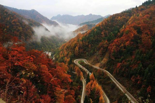 中国最美的秋季在四川，20个最值得去的地方，存起来慢慢欣赏！【开元棋盘官方网站】(图21)