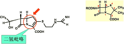 药物化学丨抗生素_氨基