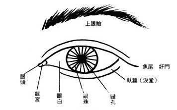 面相识人口诀(3)