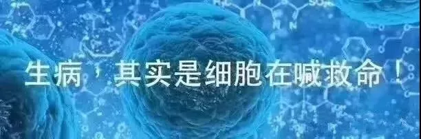 我们不治病我们只是细胞营养的搬运工