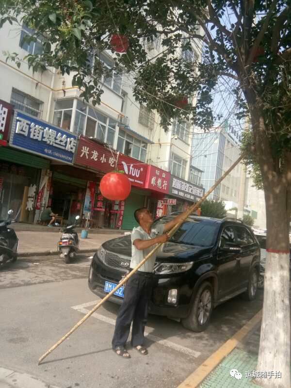 【已解决】关于"平陆县圣人大街上过年的彩灯还缠在树上"问题的回复