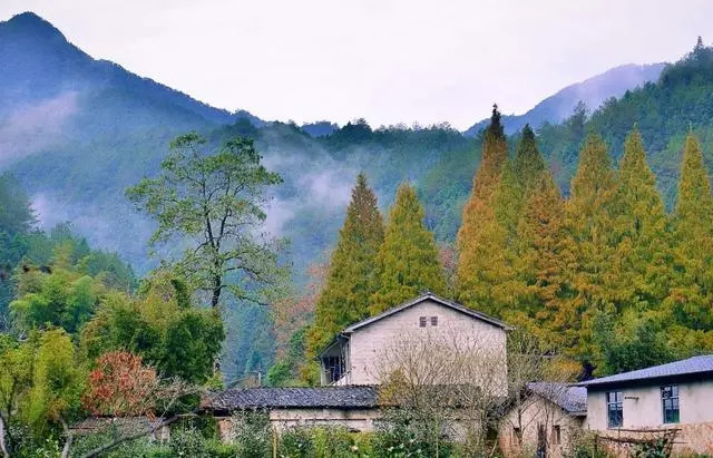 武夷源景区