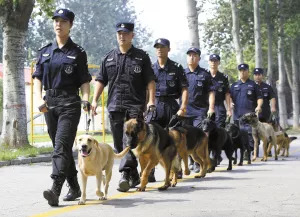 石家庄|地铁里有一队"超能安全卫士"_警犬