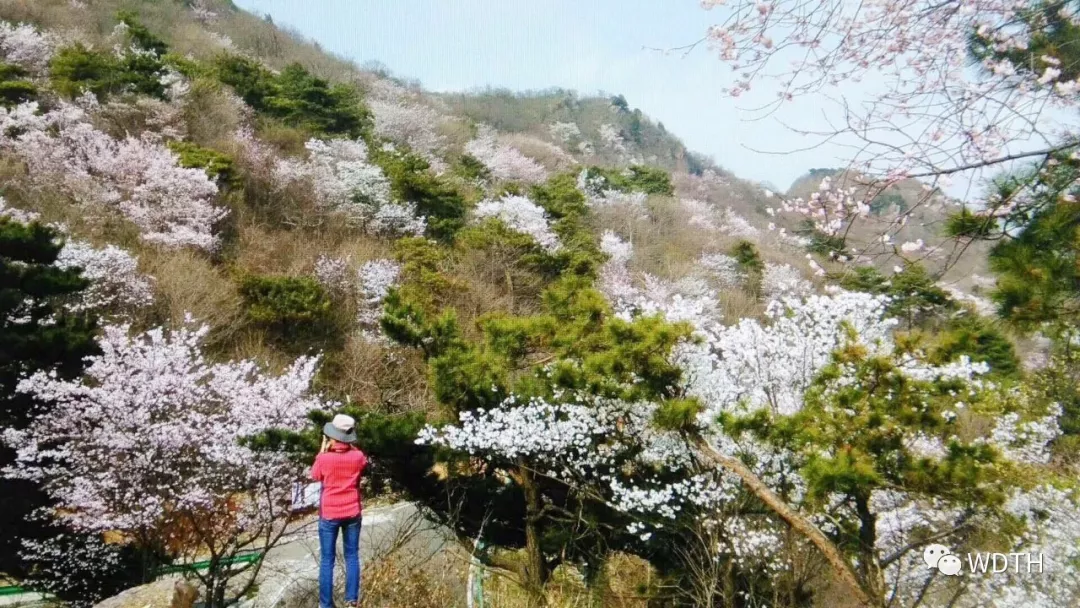 随州大洪山旅游-大洪山两日游:报价267元