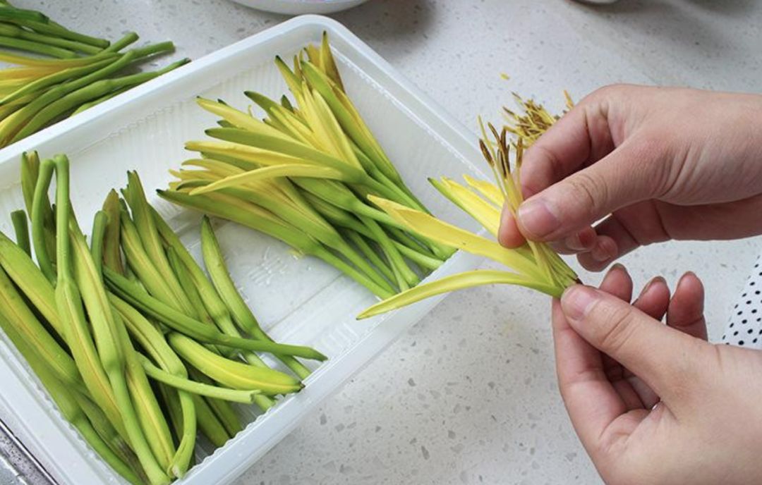 所以鲜黄花菜一定要蒸煮,干制之后才能食用.